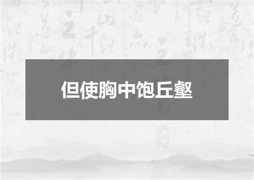 但使胸中饱丘壑
