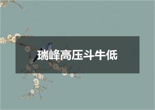 瑞峰高压斗牛低