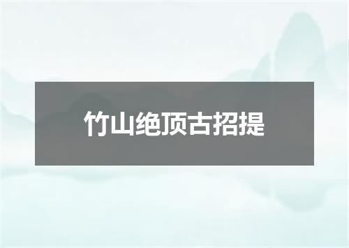 竹山绝顶古招提