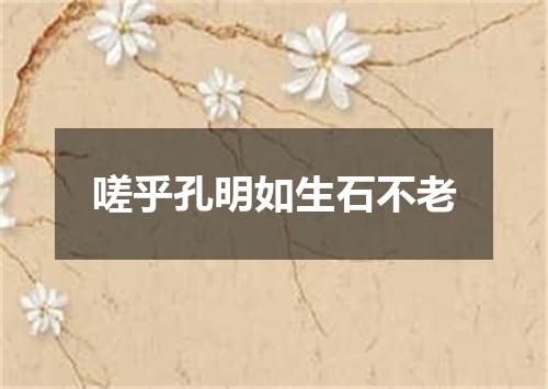 嗟乎孔明如生石不老