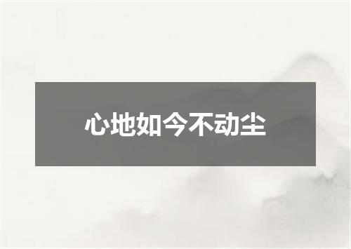 心地如今不动尘