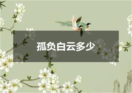 孤负白云多少