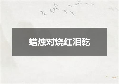蜡烛对烧红泪乾