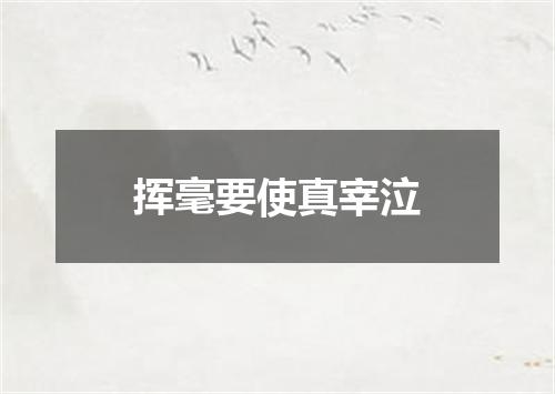 挥毫要使真宰泣