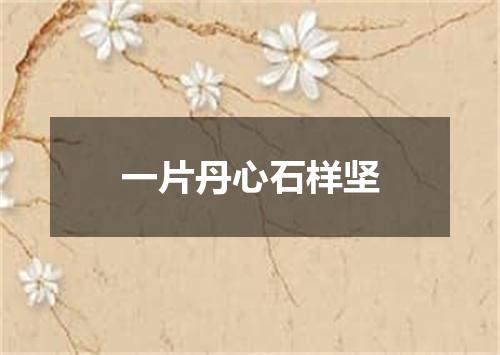 一片丹心石样坚