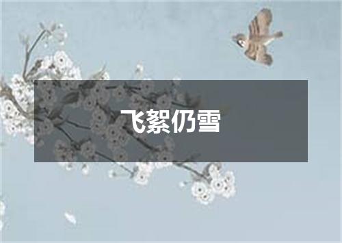 飞絮仍雪