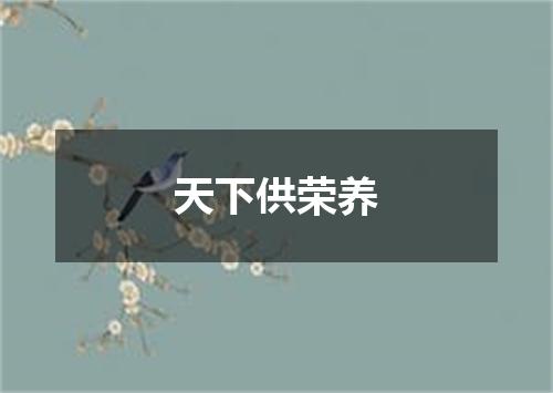 天下供荣养