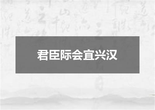 君臣际会宜兴汉