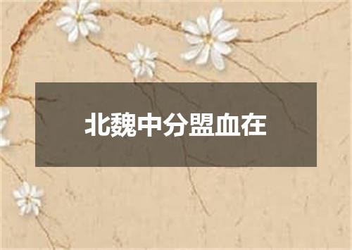 北魏中分盟血在