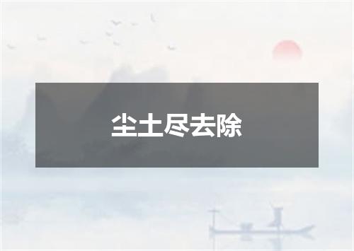 尘土尽去除