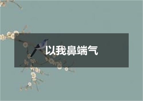 以我鼻端气