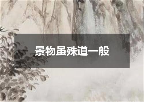 景物虽殊道一般