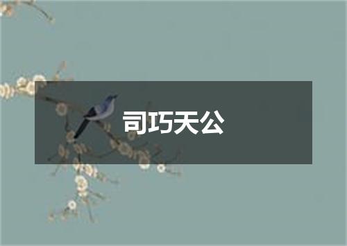 司巧天公