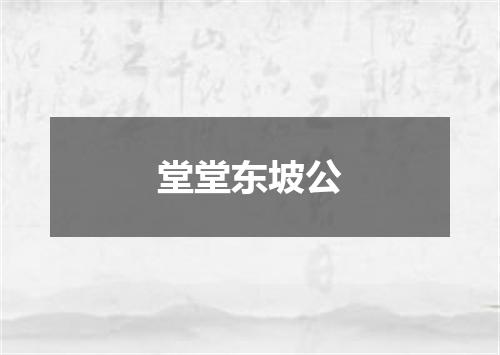 堂堂东坡公