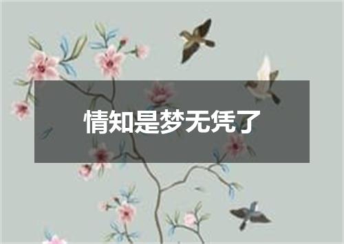 情知是梦无凭了