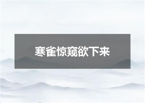 寒雀惊窥欲下来