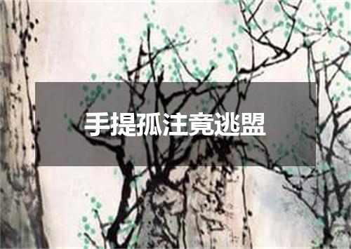 手提孤注竟逃盟