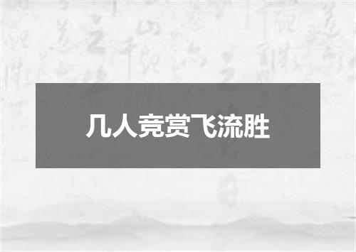 几人竞赏飞流胜