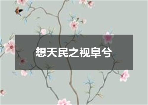 想天民之视阜兮
