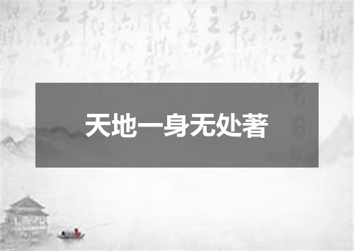 天地一身无处著