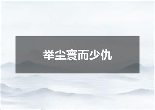 举尘寰而少仇