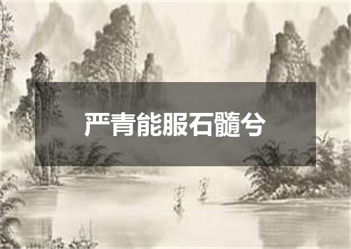严青能服石髓兮