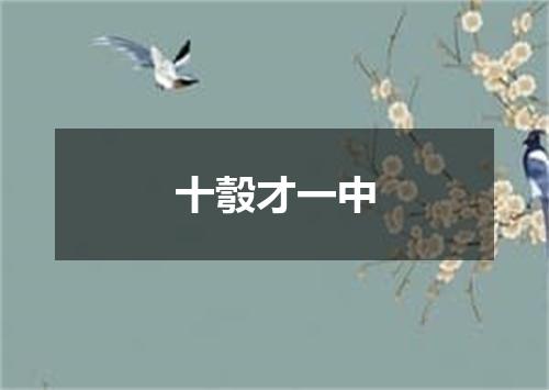 十彀才一中