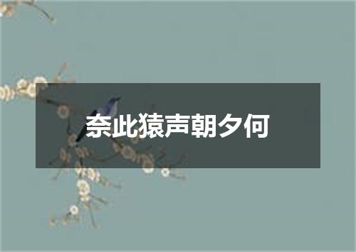 奈此猿声朝夕何