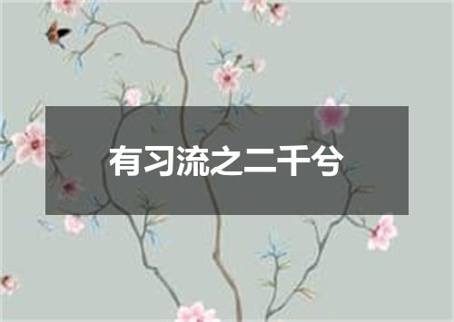 有习流之二千兮