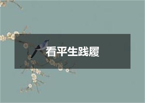 看平生践履