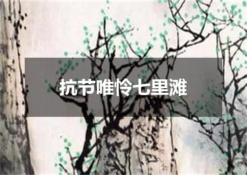 抗节唯怜七里滩