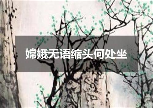 嫦娥无语缩头何处坐