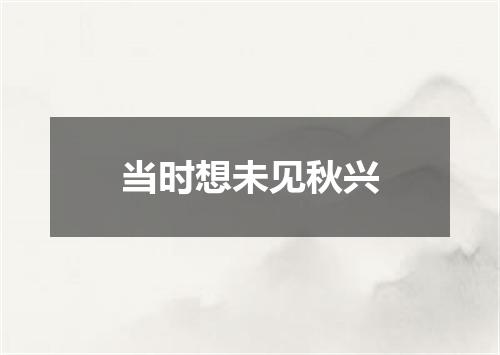 当时想未见秋兴