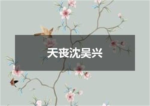 天丧沈吴兴