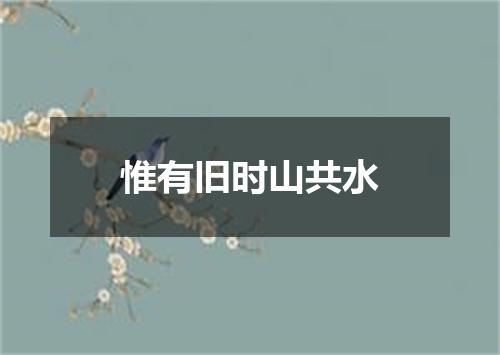 惟有旧时山共水