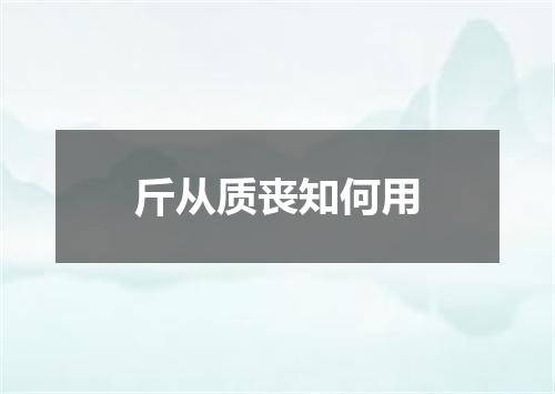斤从质丧知何用
