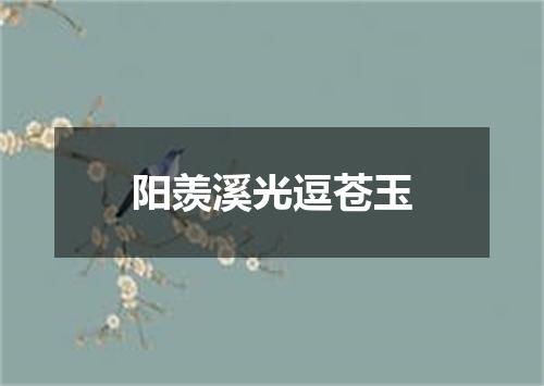 阳羡溪光逗苍玉