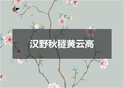 汉野秋穟黄云高