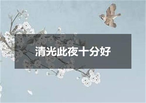 清光此夜十分好
