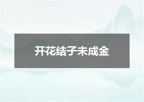 开花结子未成金