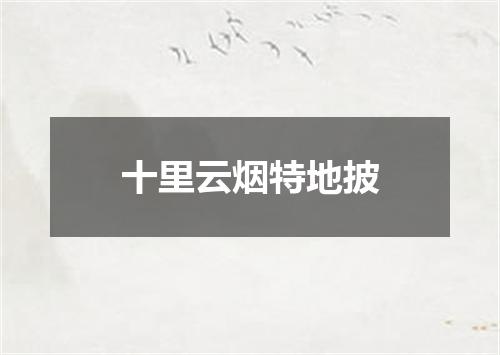 十里云烟特地披