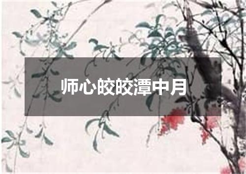 师心皎皎潭中月