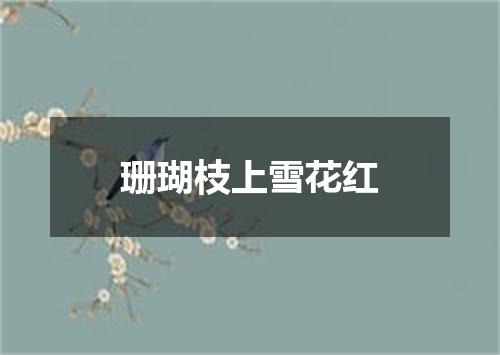 珊瑚枝上雪花红