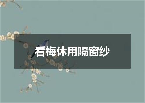 看梅休用隔窗纱