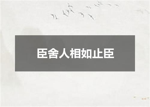 臣舍人相如止臣
