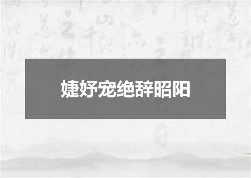 婕妤宠绝辞昭阳