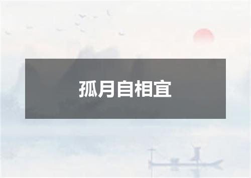 孤月自相宜