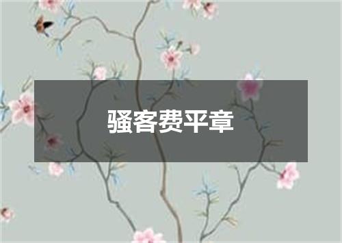 骚客费平章