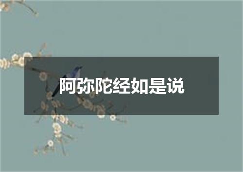 阿弥陀经如是说