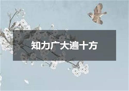 知力广大遍十方